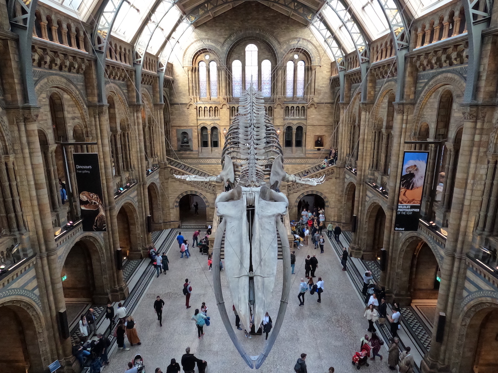 Natural History Museum